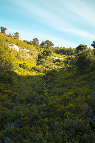 Thumbnail of IMG6346.png