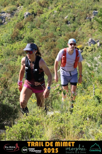 Thumbnail of Mimet_25_DP_28.jpg