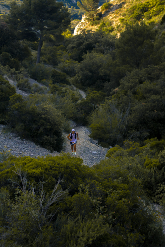 Thumbnail of IMG6319.png