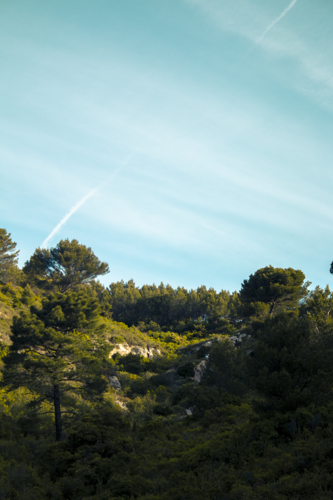 Thumbnail of IMG6317.png